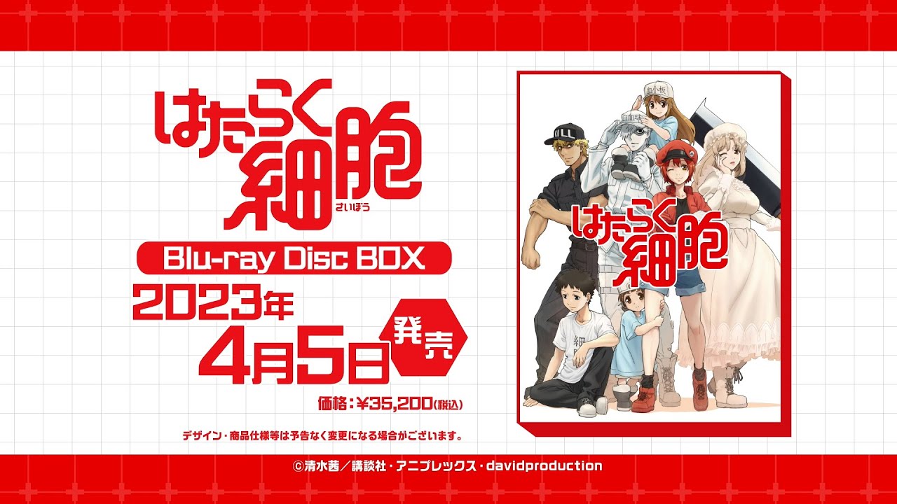『はたらく細胞!!』2期の続きは原作何巻から？3期の可能性も予想 公式PVサムネイル